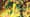 A close up of the artwork of Mega Rayquaza SIR from Pokémon delta reign