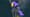 Frostallion Noct Pal from Palworld game for a Palworld TCG news