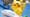 Inflatable Pikachu on top of an airplane for Pokemon store