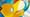 A close up of the artwork of Psyduck holding a beach ball on the Simplified Chinese Misty's Psyduck Pokemon card in Gem Pack Vol. 7
